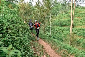 BIB: 
                            <button type="button" onclick="openModal(24878378)" class="btn btn-primary btn-sm float-right btn-popup" data-toggle="modal" data-target=".modal-high-quality">
                        <i class="fas fa-shopping-cart"></i> Add to Cart
                    </button>
                                            <button type="button" onclick="isThisMe(24878378, true)" class="btn btn-success btn-sm float-right btn-popup btn-isme hidden" data-toggle="tooltip" data-placement="bottom" title="นี่คือรูปของคุณใช่ไหม คลิกที่นี่เพื่อเอาเข้าอัลบั้ม">
                        <i class="fas fa-plus"></i> Add to album
                    </button>
                    <button type="button" onclick="isThisMe(24878378, false)" class="btn btn-warning btn-sm float-right btn-popup btn-isnotme hidden">
                        <i class="fas fa-ban"></i> Remove from album
                    </button>